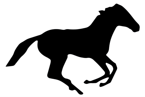 WORKHORSE LA